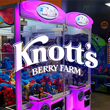 Knott's Berry Farm Consulting Services